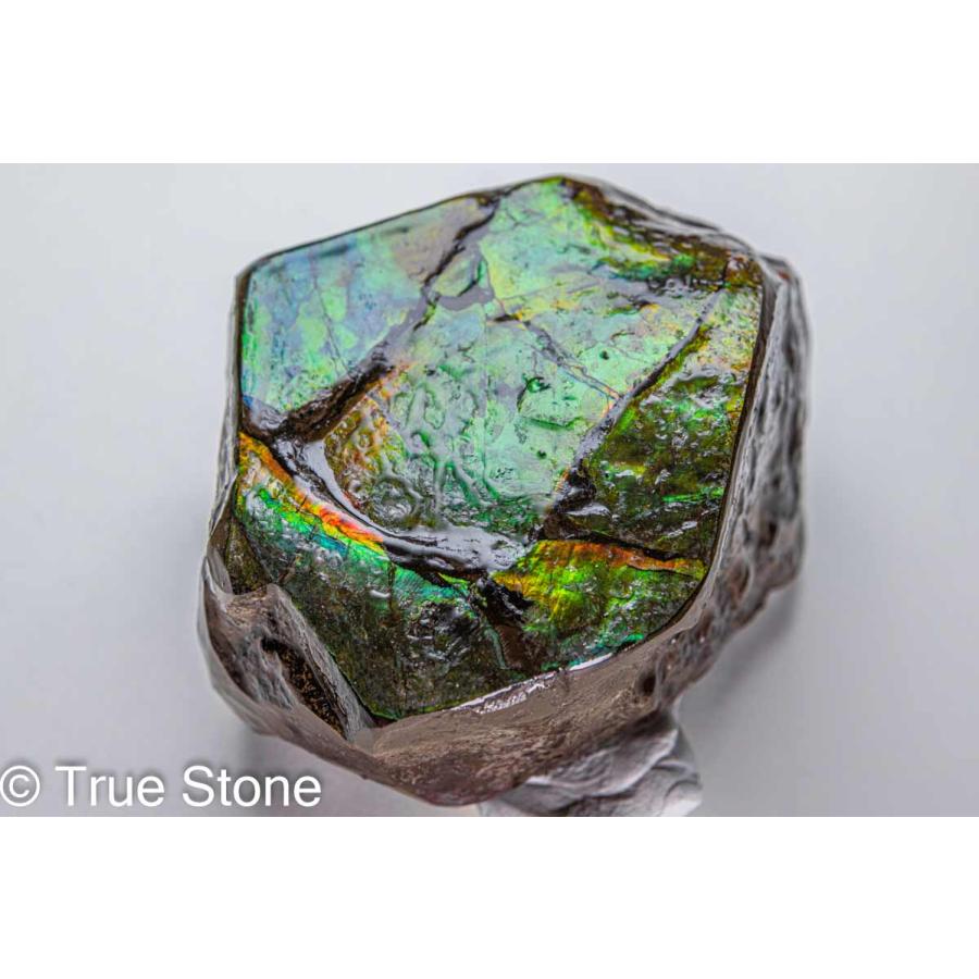 鑑別書付き 希少 AAA アンモライト 原石 608g ドラゴンスキン 約7200万