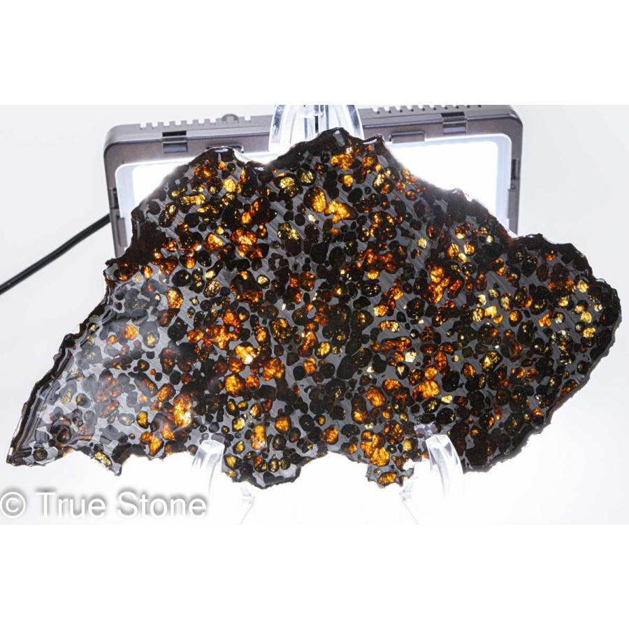 パラサイト隕石 スライス 51g、24g セイムチャン石鉄隕石『パラサイト隕石スライス』 - 国内外の