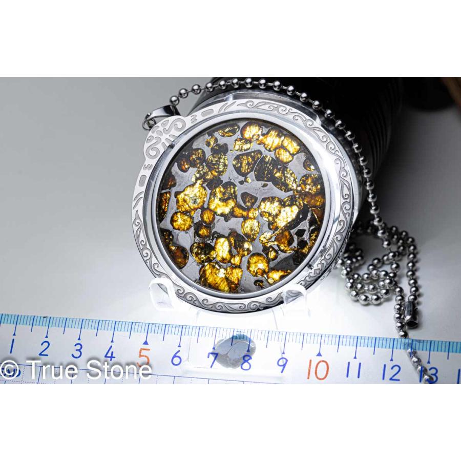 鑑別書付き AAA パラサイト隕石 回転 大型 ペンダントトップ 62.56g 石