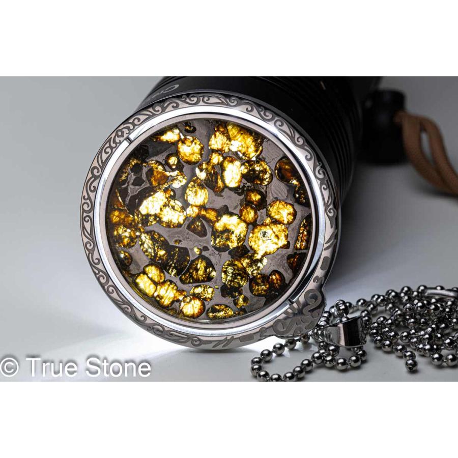 鑑別書付き AAA パラサイト隕石 回転 大型 ペンダントトップ 62.56g 石