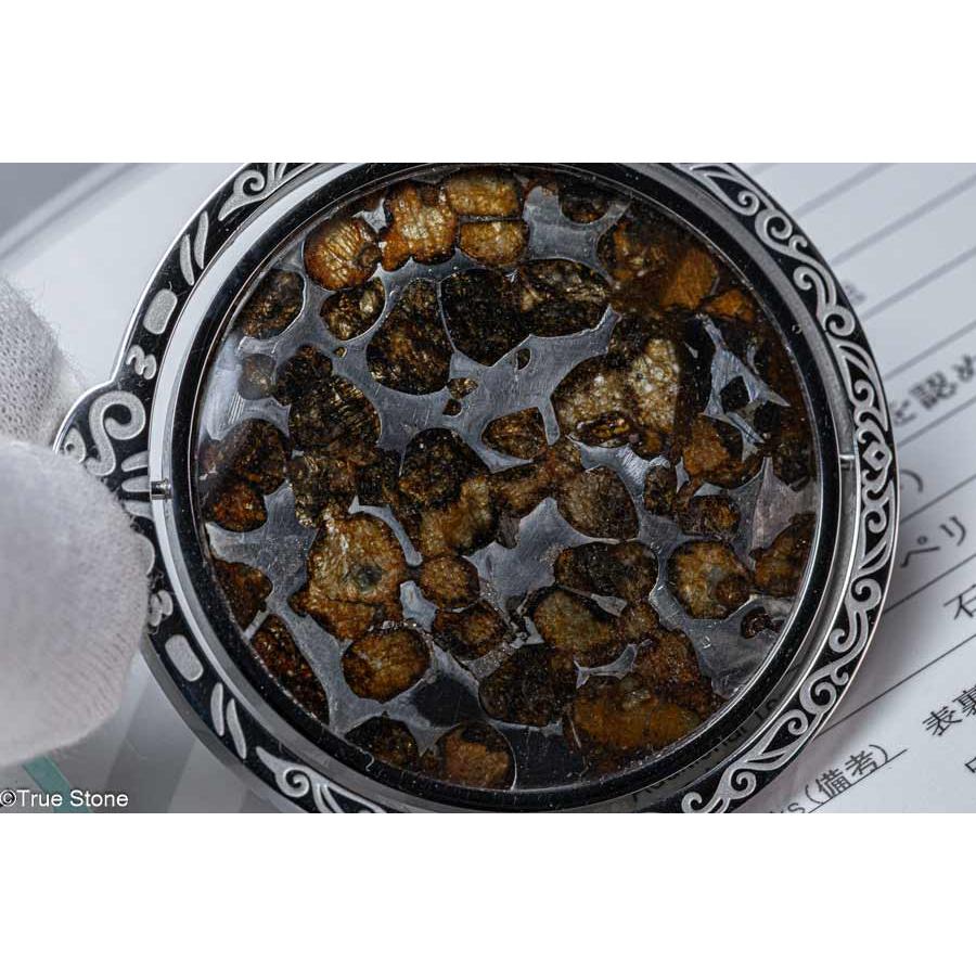 鑑別書付き AAA パラサイト隕石 回転 大型 ペンダントトップ 62.56g 石