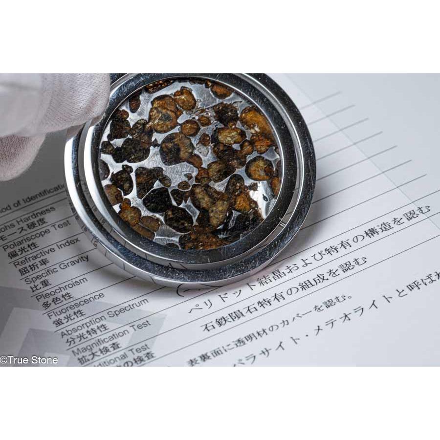 鑑別書付き パラサイト隕石 255g 138㍉ 石鉄隕石 筆立て メテオライト 鑑別書付き AAA パラサイト隕石 回転 大型 ペンダントトップ 62.56g 石