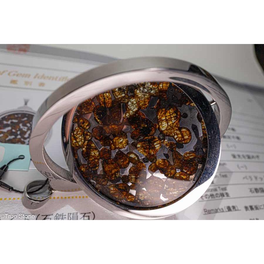 鑑別書付き AAA パラサイト隕石 回転 大型 ペンダントトップ 63.82g 石