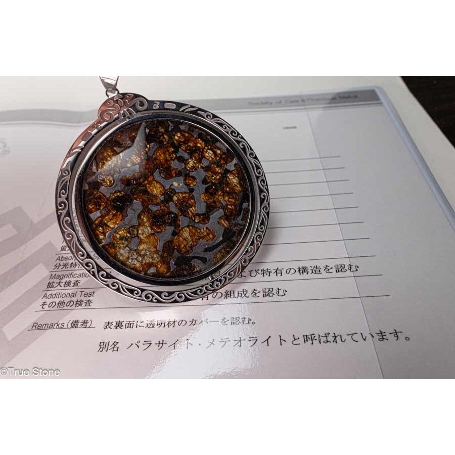 鑑別書付き AAA パラサイト隕石 回転 大型 ペンダントトップ 63.82g 石