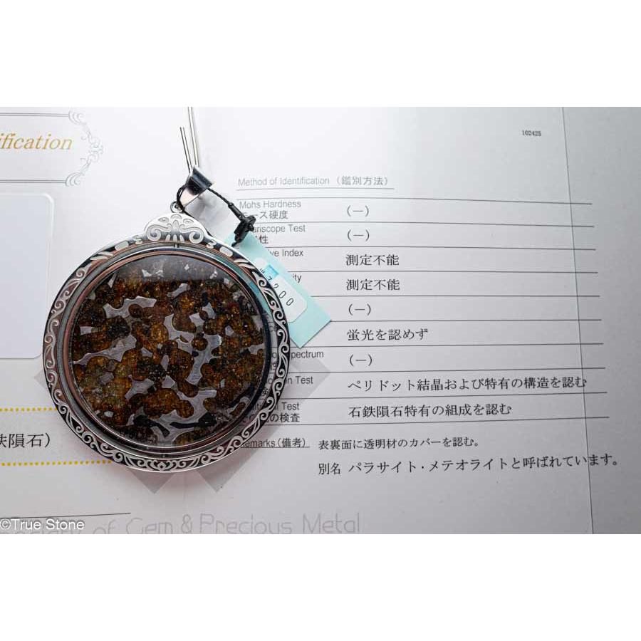 鑑別書付き AAA パラサイト隕石 回転 大型 ペンダントトップ 63.82g 石