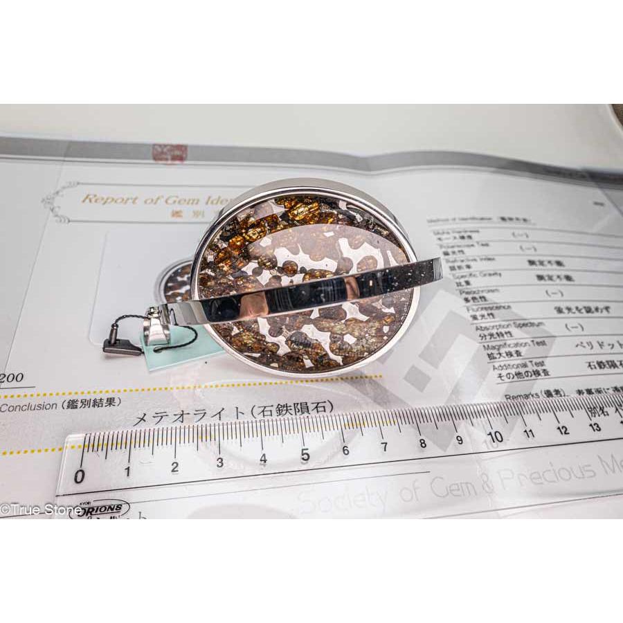 鑑別書付き AAA パラサイト隕石 回転 大型 ペンダントトップ 63.82g 石