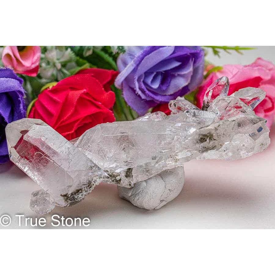 超貴重　ゼッカデソーダ　スターブラリー　クラスター 8c0b9be08b815caddf350ffac1fb1b