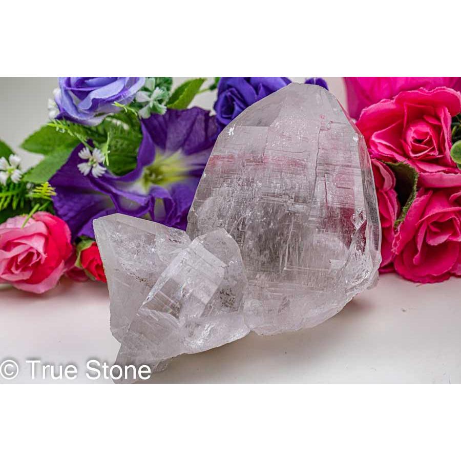 値下しました！ティップリン産ポイント-51-1 ガネーシュヒマール