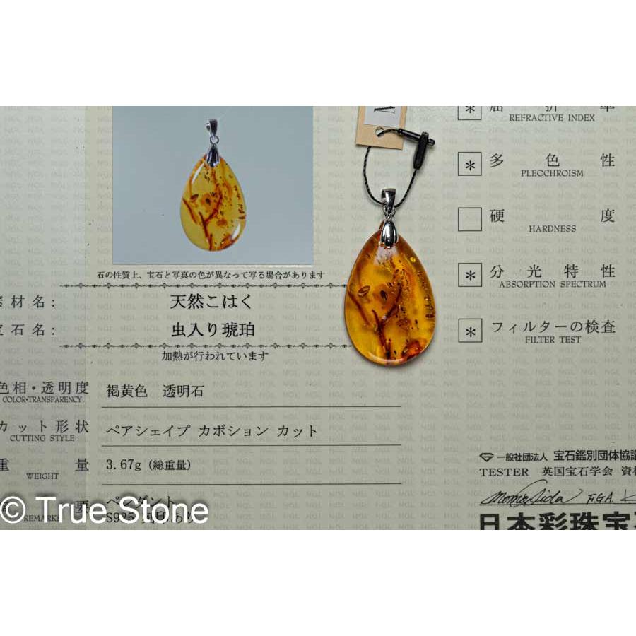 鑑別書付き バルティックアンバー 虫入り琥珀 ペンダントトップ