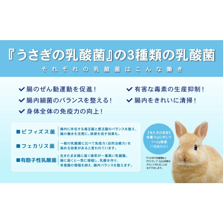 ウーリー うさぎの乳酸菌 450g うさぎ サプリメント エサ ペット ウーリー うさぎの乳酸菌 450g うさぎ サプリメント エサ ペット