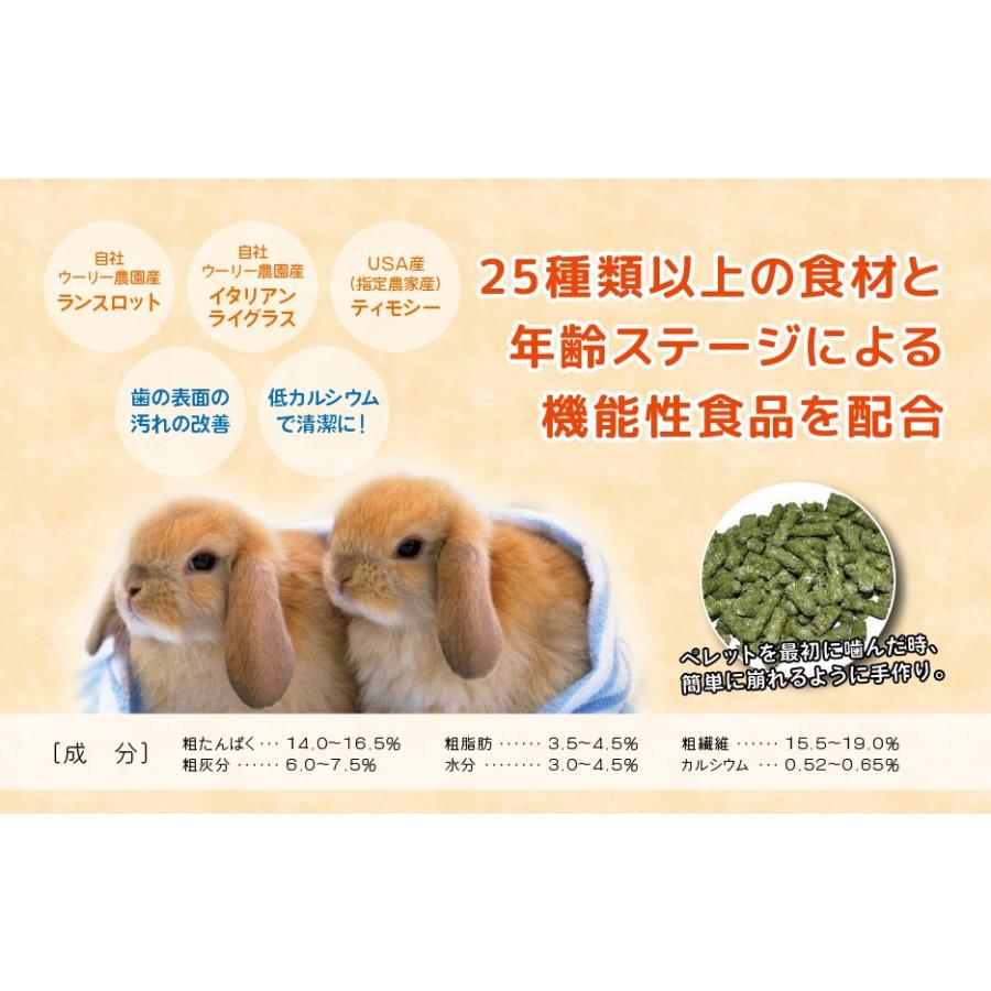ウーリー スタンダードブルーム 800g 生後6ヶ月 2歳 うさぎ ペレット 餌 ペット ラビットフード うさぎ専門店の食彩 Truegrasses 通販 Yahoo ショッピング