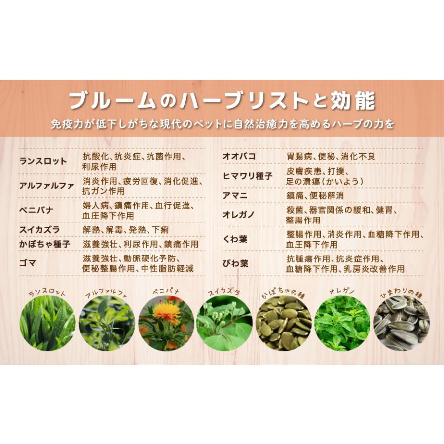 ウーリー シルバーブルーム 800g 生後4歳 6歳 うさぎ 人気ショップが最安値挑戦 ペレット 餌 ラビットフード ペット