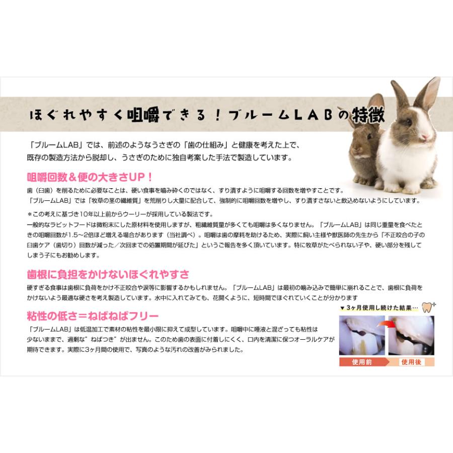 ウーリー【LM】 ブルームラボ スペシャル 800g ※生後8歳以上 うさぎ