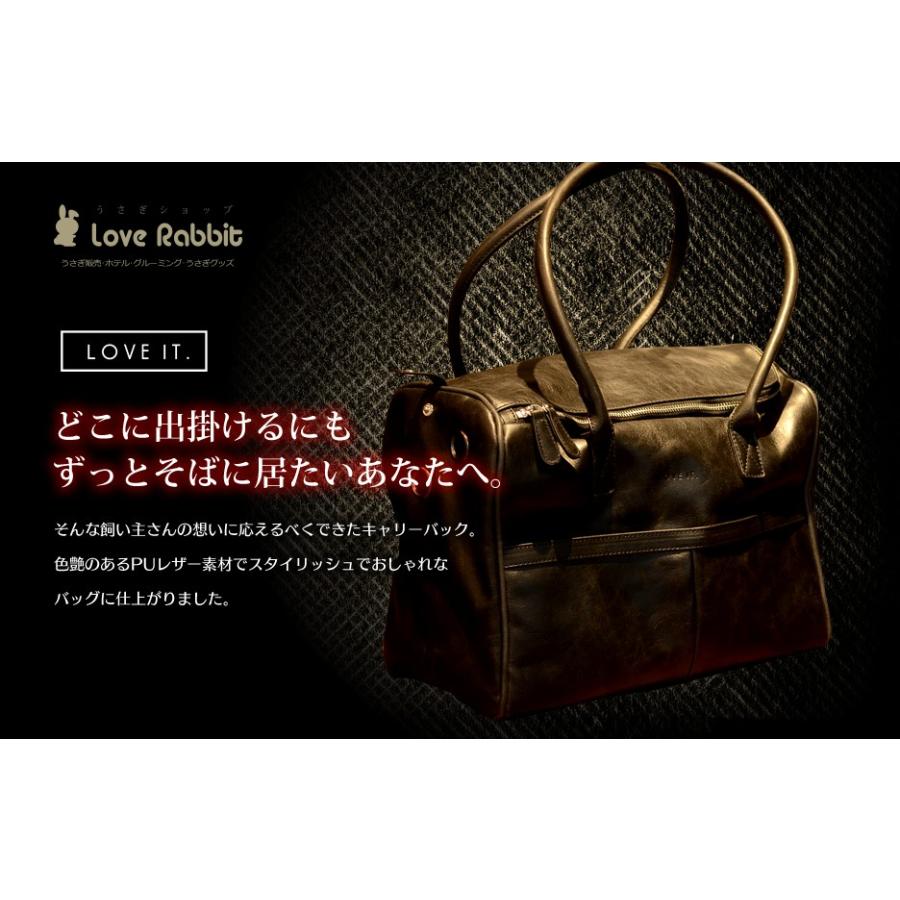 スタイリッシュペットキャリーバッグ「TO'VE」(トゥーヴェ)【送料無料