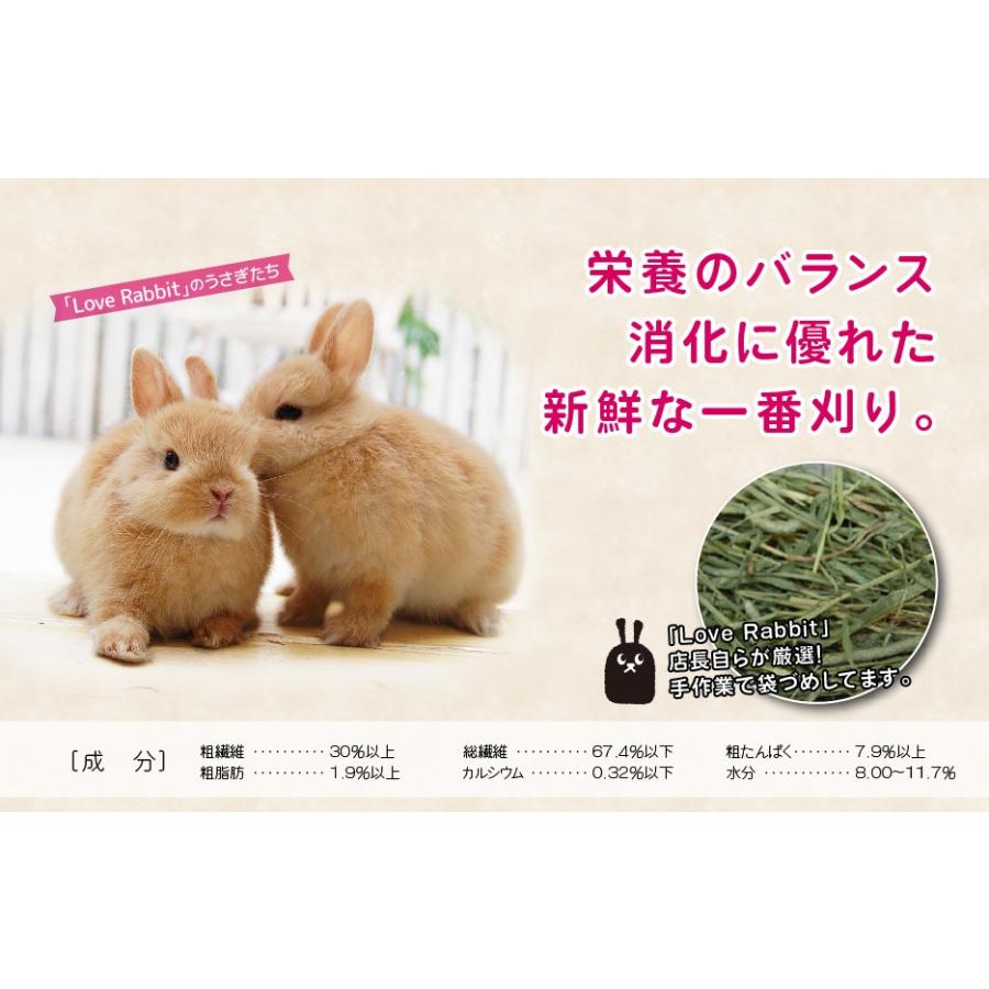 【日付指定不可】特選チモシー1番刈り 【the First TIMOTHY 1.6kg (800g×2袋)】 うさぎ 牧草 餌　ペット｜truegrasses｜05