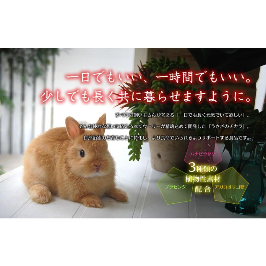 ウーリー うさぎのチカラ 120錠(1包12錠入り×10包) うさぎ ウーリー うさぎのチカラ 120錠(1包12錠入り×10包) うさぎ