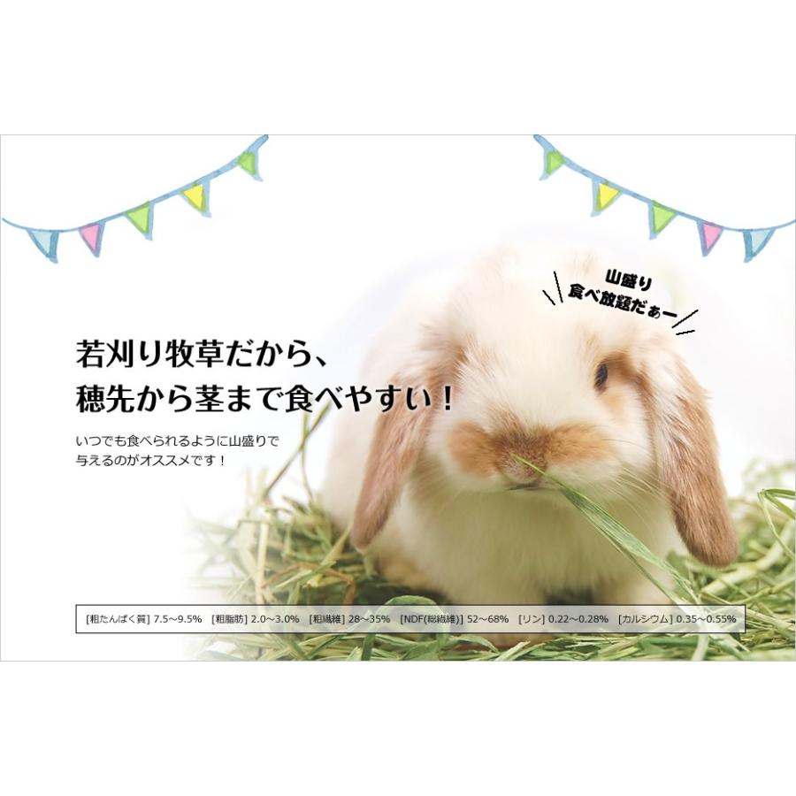 ウーリーのusa牧草 ティモシー1番刈り 3kg うさぎ 牧草 うさぎ専門店の食彩 Truegrasses 通販 Yahoo ショッピング