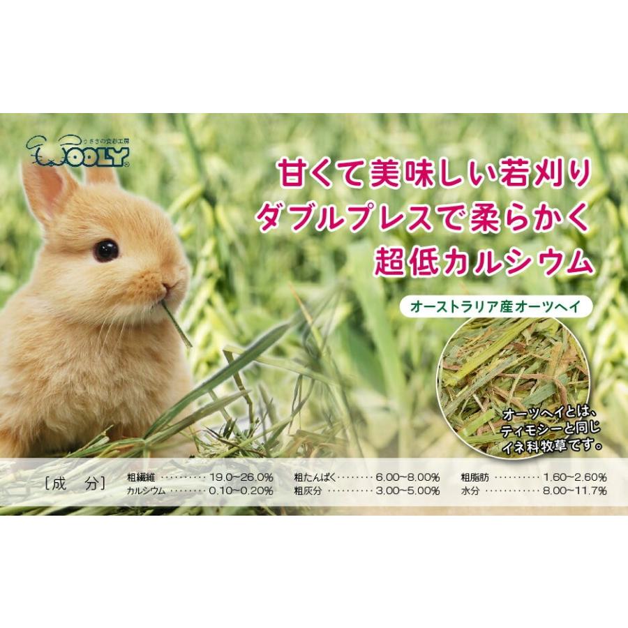 ウーリーのセレクト牧草「オーツヘイ」850g うさぎ 餌 ペット ラビットフード :10000077:うさぎ専門店の食彩 TrueGrasses - 通販 - Yahoo!ショッピング ウーリーのセレクト牧草「オーツヘイ」850g うさぎ 餌 ペット ラビットフード :10000077:うさぎ専門店の食彩 TrueGrasses - 通販 - Yahoo!ショッピング