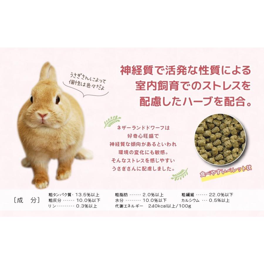 イースター バニーセレクション ネザーランドドワーフ専用 1.3kg イースター バニーセレクション ネザーランドドワーフ専用 1.3kg