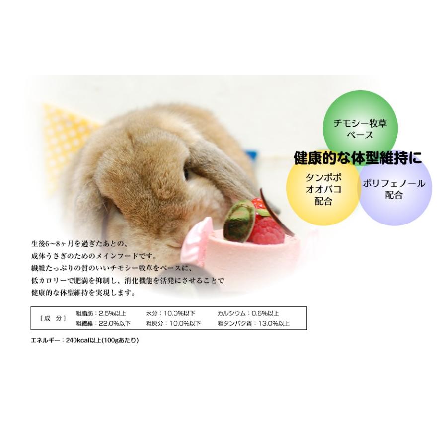 Sanko 三晃商会 ラビットプラス ダイエットメンテナンス 1kg うさぎ ペット 餌 ペレット うさぎ専門店の食彩 Truegrasses 通販 Yahoo ショッピング