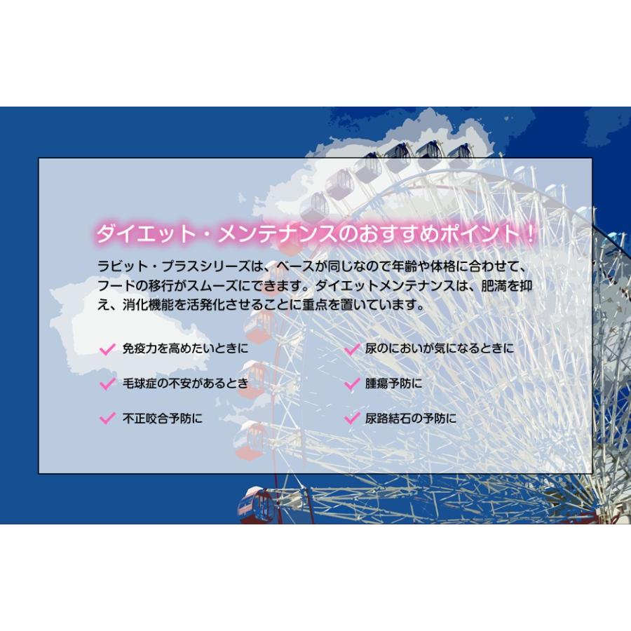 祝開店!大放出セール開催中 100g 三晃商会 うさぎ お徳用 おやつ SANKO 祝開店!大放出セール開催中 100g 三晃商会 うさぎ お徳用 おやつ SANKO