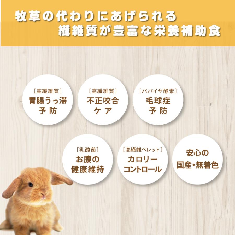 うさぎ用品　セット　ペレット　牧草　など10点 恵シニア プロセレクト 750g×6袋 ハイペット ペレット うさぎのエサ