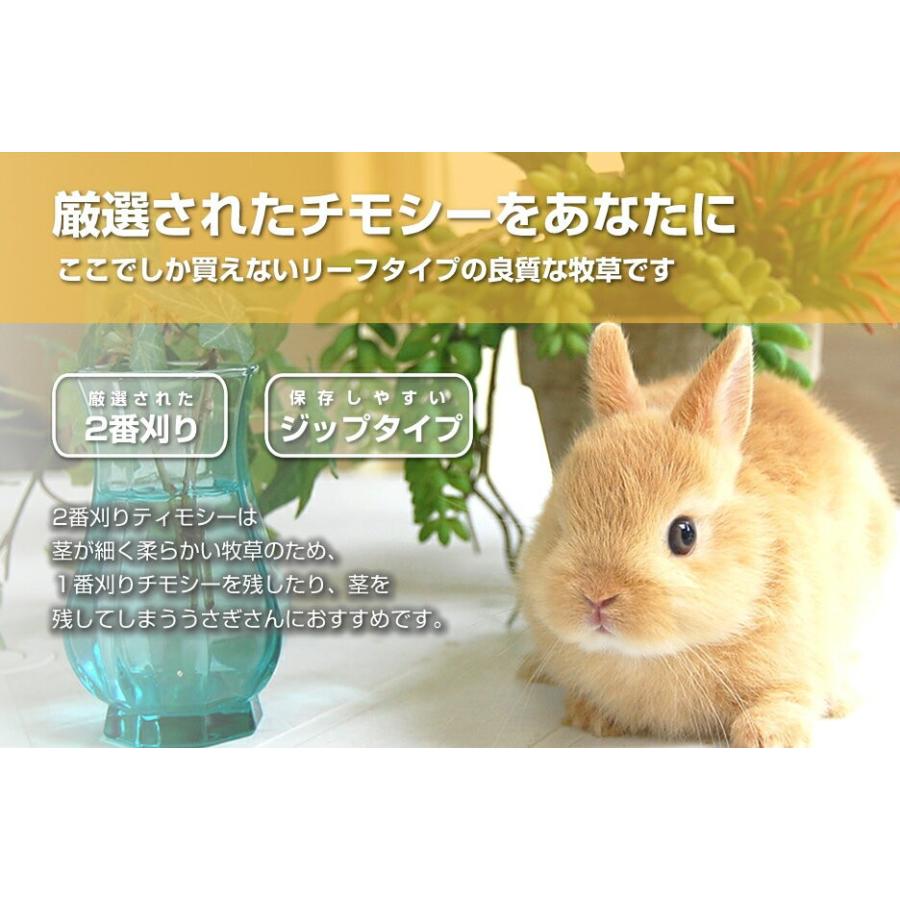 ウーリーのセレクト牧草 2番刈りティモシー アメリカ産 600g ラビットフード うさぎ 餌 うさぎ専門店の食彩 Truegrasses 通販 Yahoo ショッピング