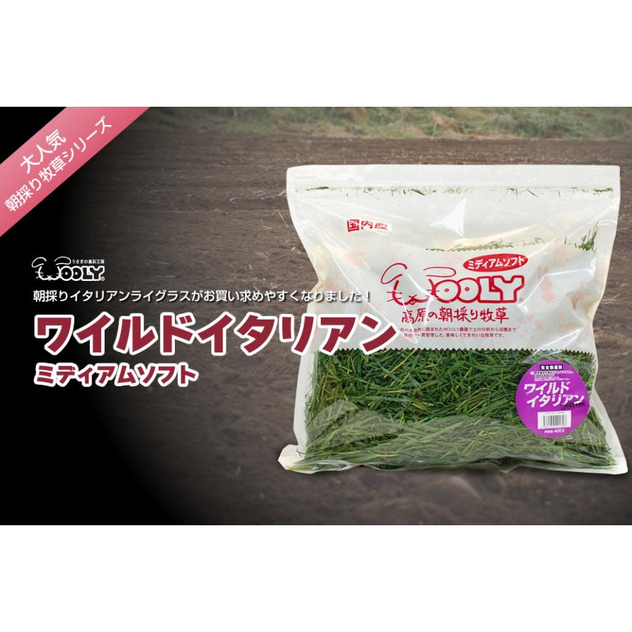 今期分終売【1回のご注文につき8個制限】 ウーリー ワイルド 今期分終売【1回のご注文につき8個制限】 ウーリー ワイルド