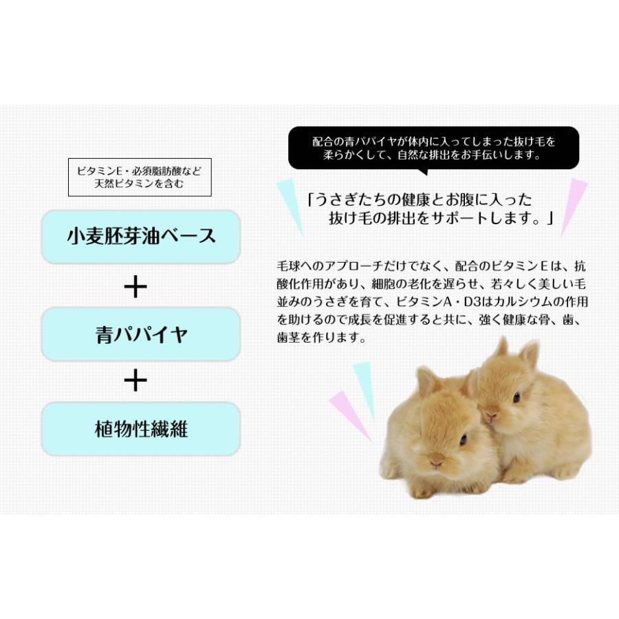 Sanko ラビット ヘアボールリリーフ 50g うさぎ サプリメント 小動物 ペット うさぎ専門店の食彩 Truegrasses 通販 Yahoo ショッピング