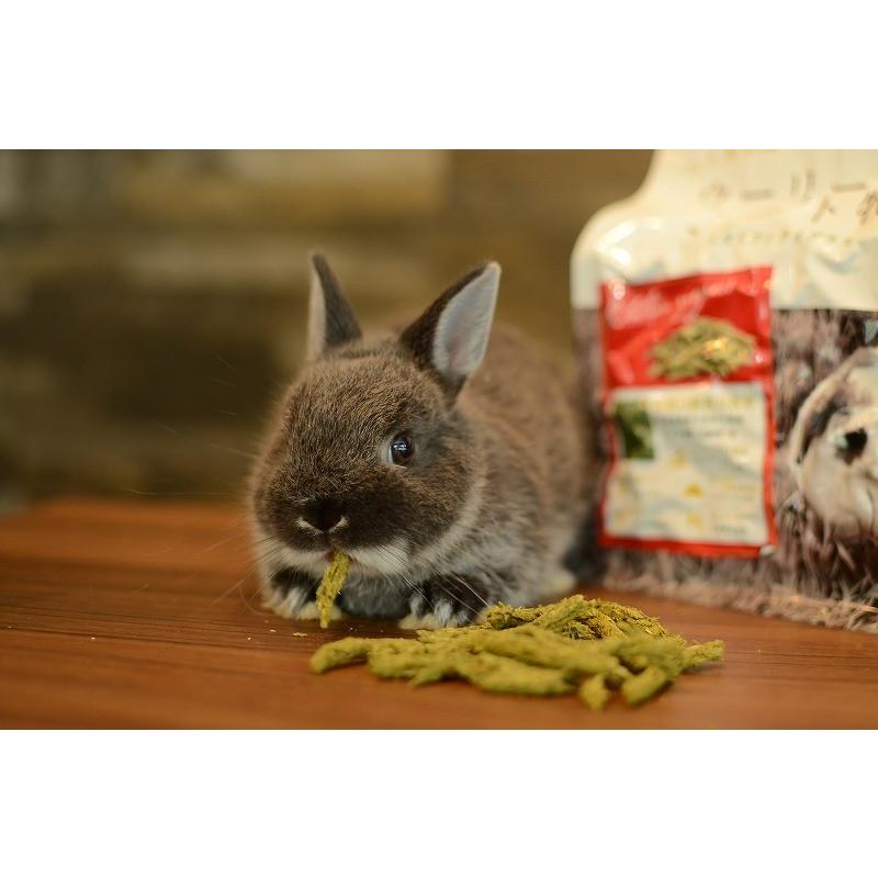 ウーリー ウーリー農園のペレット牧草 イタリアンライグラス グレインフリー うさぎ ペット 餌 うさぎ専門店の食彩 Truegrasses 通販 Yahoo ショッピング