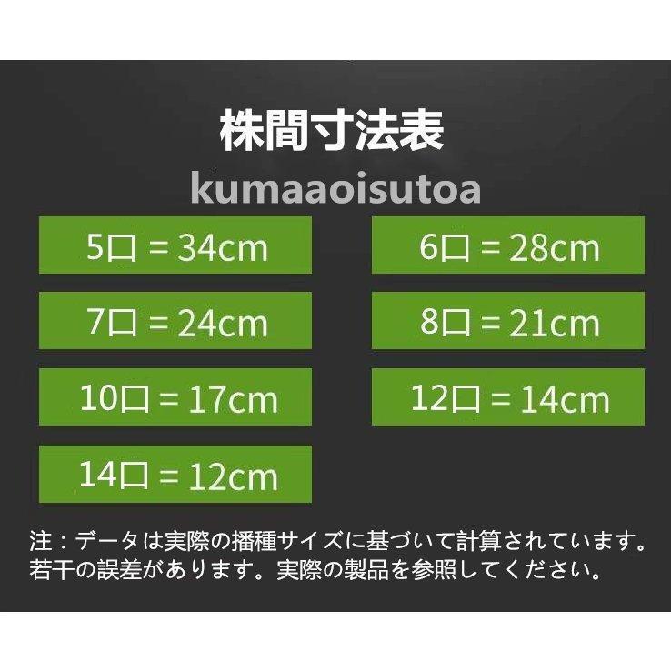 葉物野菜出荷用三角袋5000枚小松菜、ほうれん草等に