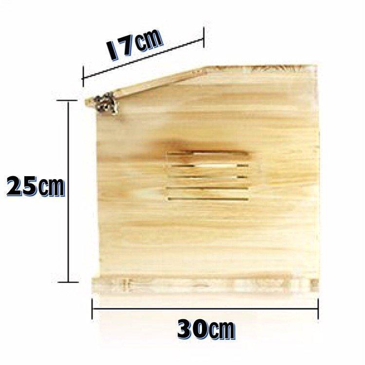 高評価続出！ 爬虫類ケージ 飼育ケージ 両生類 小動物 飼育ケース 木製 ペットゲージ ハウス アクリル板 ガラスケージ 照明 コンセント式 イグアナ トカゲ リクガメ 【P2053655568】(12878円)