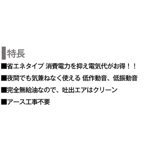 （P5倍）（22日限定）浄化槽 ブロア― 100 エアーポンプ 工進 AK-100の画像