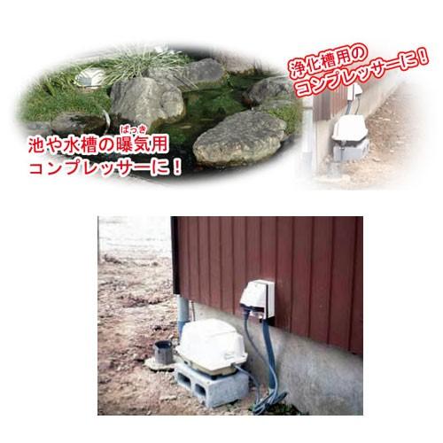 （P5倍）（22日限定）浄化槽 ブロア― 100 エアーポンプ 工進 AK-100の画像