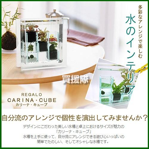 割引発見 レガーロ アクアリウム水草育成セット カリーナ キューブ Riosmauricio Com