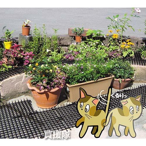 猫よけ ここダメシート 30cm×2m巻 12個セット 第一ビニール |  | 01