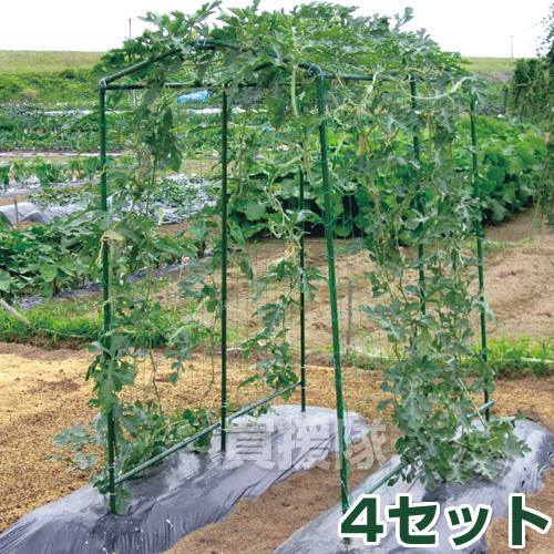 DAIM （P5倍）（毎月10日は買援隊の日）（4個セット）第一ビニール