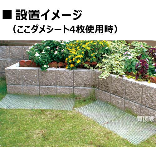 猫よけ ここダメシート（透明タイプ）100枚セット 第一ビニール |  | 02