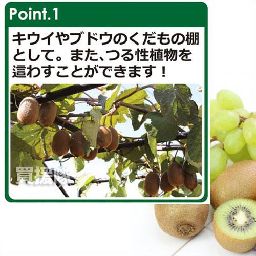 第一ビニール くだもの棚セット パーゴラ 120cm×90cm KT-S 設置サイズ：幅90cm×奥行120cm×高さ 土中30cm埋め込み時 180cm |  | 04