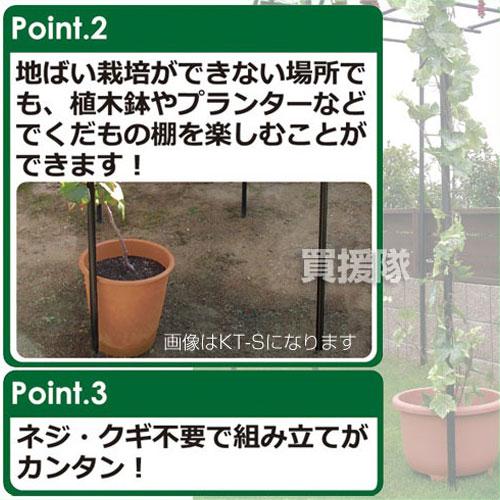 第一ビニール くだもの棚セット パーゴラ 120cm×90cm KT-S 設置サイズ：幅90cm×奥行120cm×高さ 土中30cm埋め込み時 180cm |  | 05