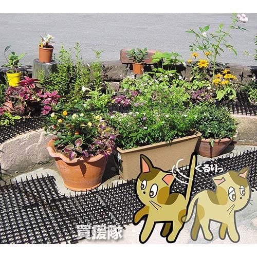 （P5倍）（毎月10日は買援隊の日）猫よけ ここダメシート 50cm×2m巻 幅広 6個セット 第一ビニール_1