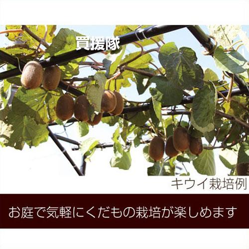 DAIM 第一ビニール くだもの棚セット パーゴラ 120cm×180cm KT-M 設置