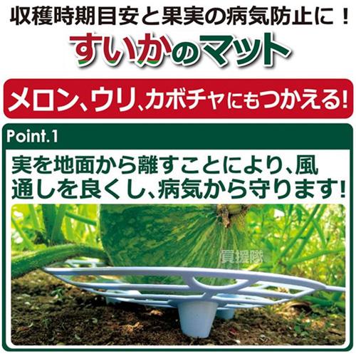 早い物勝ち！スイカ大手作り額付きマットあり　title「君だけのニャンコ」 香*月様 スイカ大サイズ手作り額付き作品 title「一陽来福ニャンコ」