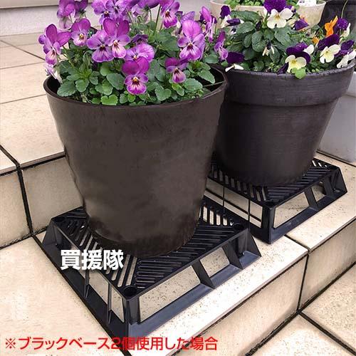 第一ビニール ブラックベース 20cm 10個セット | DAIM | 03