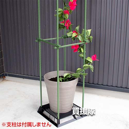 （P5倍）（クーポンで1500円OFF）第一ビニール ブラックベース 20cm 5個セット | DAIM | 02