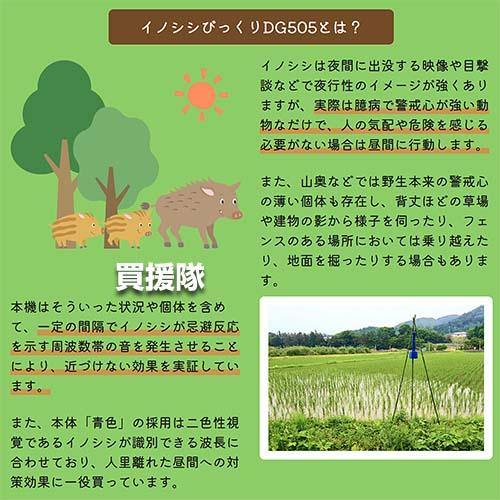 （P3倍）（クーポンで1000円OFF）大樹トレーディング イノシシびっくり DG505 本体のみ 3個セット_3