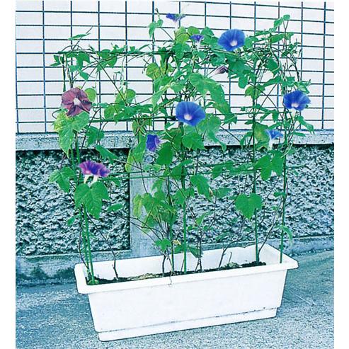 第一ビニール のびーる支柱 花のアーケード プランター用 5個セット 買援隊 Paypayモール店 通販 Paypayモール