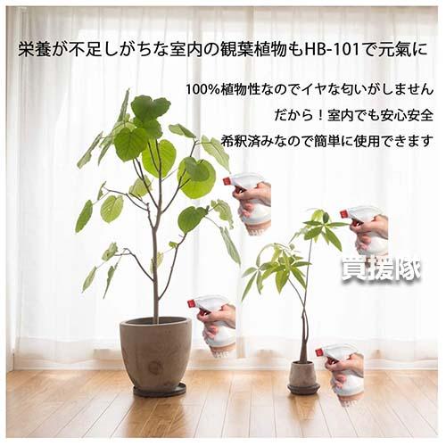 フローラ 天然植物活力液 1L ハンドスプレー HB-101 : 買援隊ヤフー店