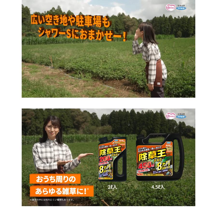 除草王 フマキラー カダン シャワーS 2L×8本セット : 買援隊ヤフー店