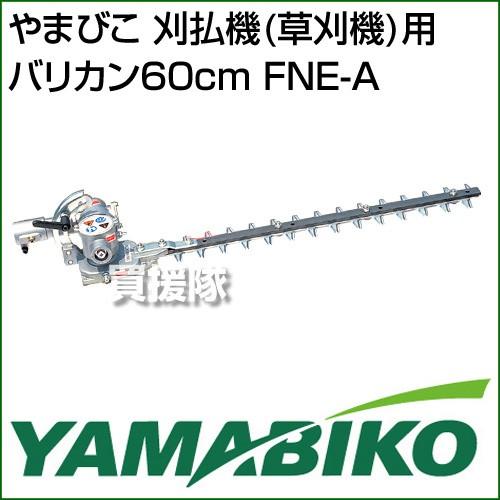 圧倒的人気 あす楽対応  【fne-a】 限定デザイン